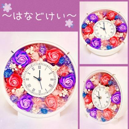 ㉒amifaアミファ/花時計ダブルウインドウホワイト 2022 トゥインクル