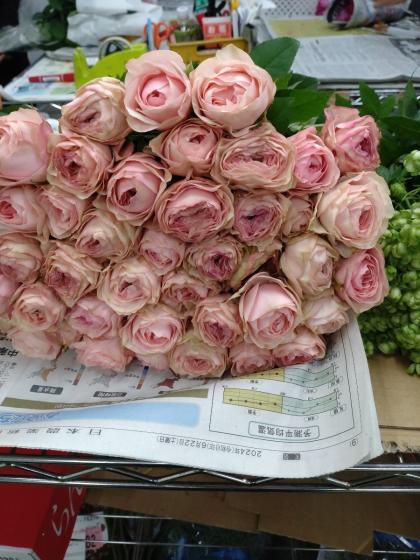 生花】【後藤ばら園】バラ ポルトボナー(アンティーククリーム