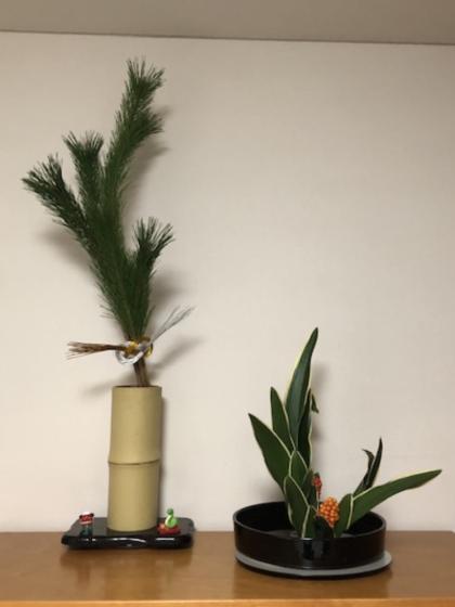 若松、切り枝 Amazon｜花木屋 若枝松 生花 切花 2L 120cm｜切り花 オンライン通販