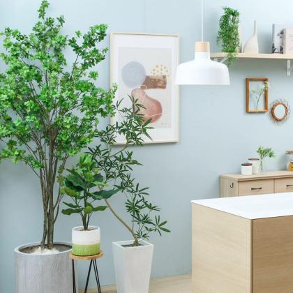 ウンベラータ　人工観葉植物 ホワイトポット unbe8wh.jpg