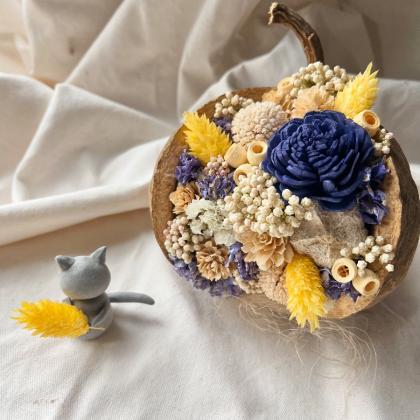 即日☆【ドライ】大地農園/ムタンバナッツ 約35g 白/22850-011 - 花材