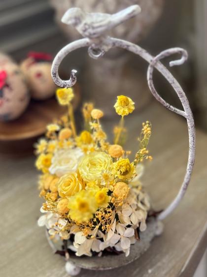 ドライ】大地農園/白樺小枝 70cm 約25本 N/50780-000 - 花材通販はなど