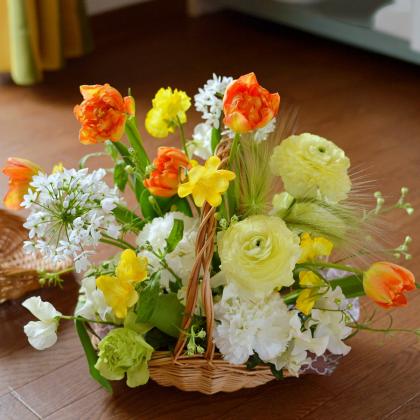 SG Wonder zone/煮柳浅皿手付L/307-416 - 花材通販はなどんやアソシエ