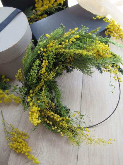 即日☆【ドライ】大地農園/ミモザ・デニスボーデン N/10920-000 - 花材