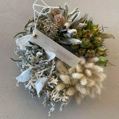 即日☆【ドライ】大地農園/ルナリア 白/30073-011 - 花材通販は