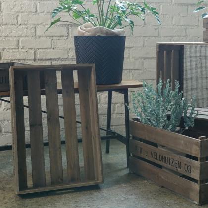 CARNAC/ベジタブルボックスA/KBFY008 - 花材通販はなどんやアソシエ