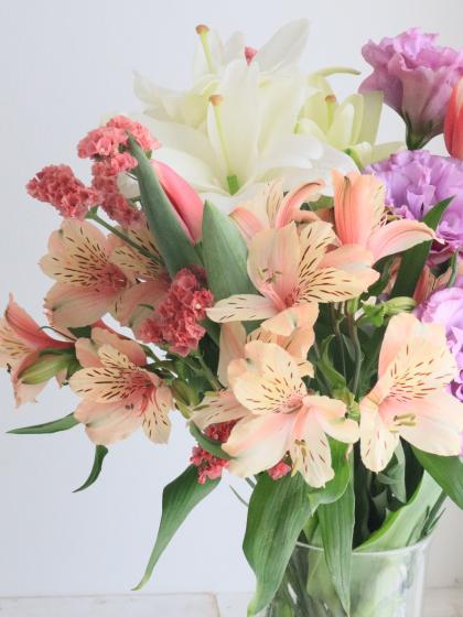 チューリップ 生花】チューリップ タイムレスorダッチデザイン(赤ふち白一重