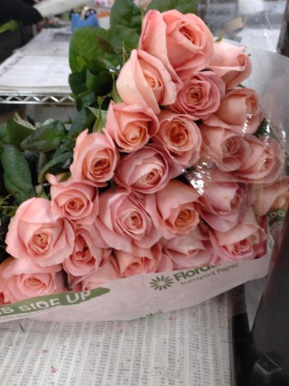 直前】バラ ロンドンアイ(ピンク・ロゼット)40-50CM - 花材通販はなど