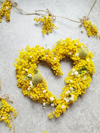 生花】銀葉ミモザアカシア(1束約5本入り・70cm程度)アミシロフラワー