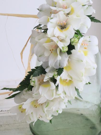 生花】国産レザーファン 宮崎グリーン 秀L【早締切-74】 - 花材通販は