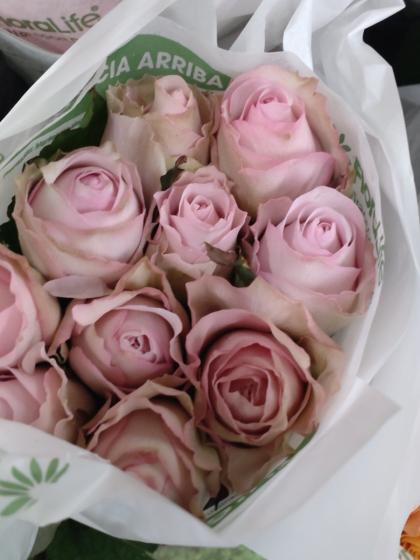 直前】バラ ラプソディ+(淡いピンクラベンダー)40CM- - 花材通販はなど