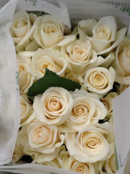生花】バラ ジューク(オフホワイト系)□今週のオトク【IT-23】 - 花材