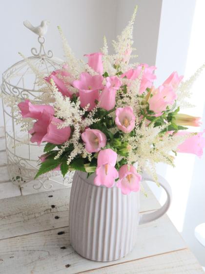 直前!】カンパニュラ(ピンク) 70cm程度 JAこまちなど【生花】 - 花材