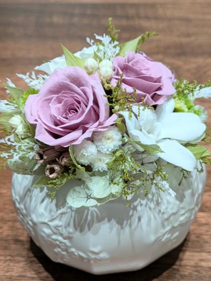 プリザーブド】フロールエバー/デンドロビウム S 8輪入り パール