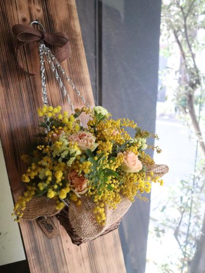 直前】【生花】ミモザアカシア(40cm程度)品種おまかせ 千葉県長