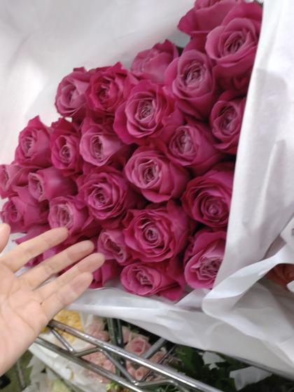 生花】母の日☆バラ オール4ラブ+(濃い目ピンク)【IT-23】 - 花材通販