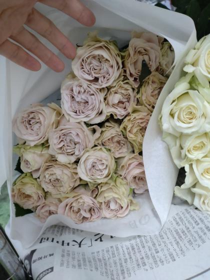 生花】バラ ウエストミンスターアビー(ベージュピンク)□今週のオトク