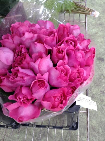 イマン おぼん2枚セット バラ売り可 イマン おぼん2枚セット バラ売り可 イマン ホーロー おぼん イマン お