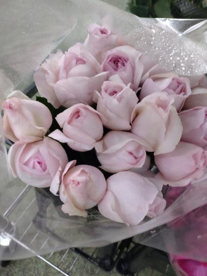 生花】バラ シャンテポー(ピンク) 増田ばら園 - 花材通販はなどんや