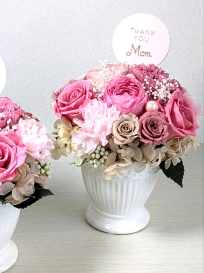 mikanさま専用 送料無料】高級柑橘スイートセット -みかんジュレ