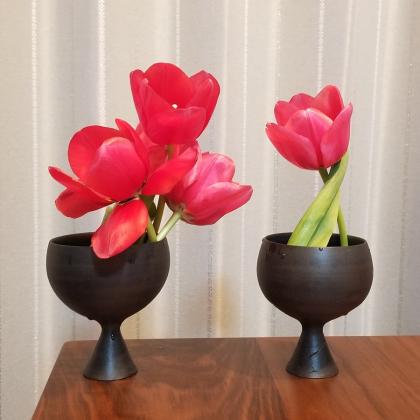 生花】チューリップ (赤一重咲き)イルデフランスなど【OT】 - 花