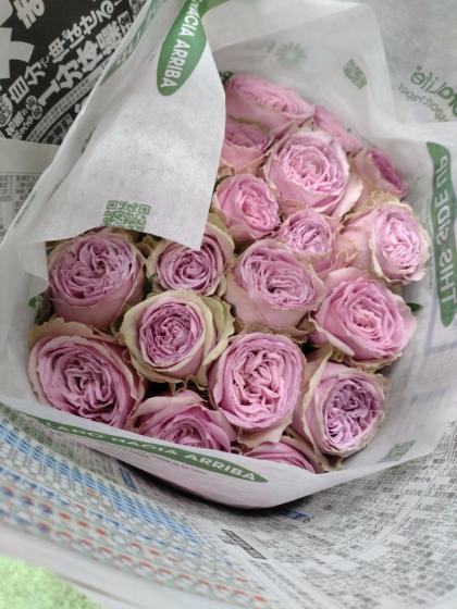 生花】バラ ブルーミルフィーユ(ピンク紫)40CM-豊川ひまわりほか【OT