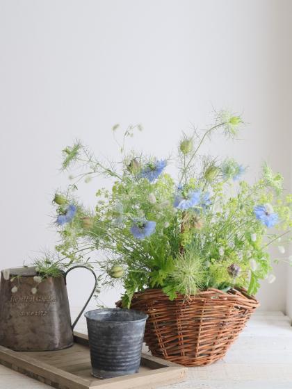 ぶたのはな　ブルゲリラ ぶたのはなブルゲリラ