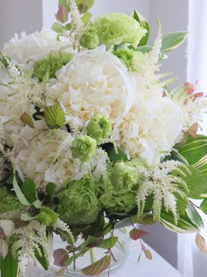 トルコキキョウ　ユーストマ苗　アンバーダブルモヒート１６本 トルコキキョウ ユーストマ苗 アンバーダブルモヒート16本 桔梗 苗