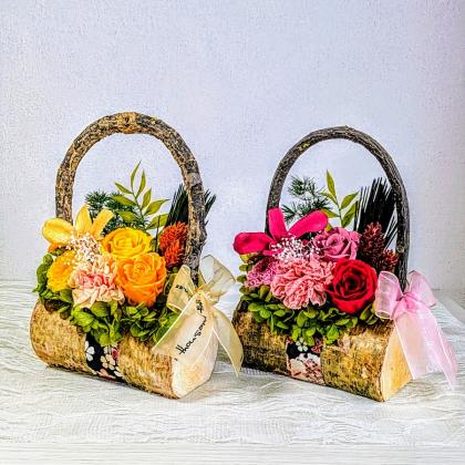 大特価◎即日☆【プリザーブド】大地農園/みやこ松・小枝 10本入り