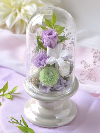 即日☆【プリザーブド】南原農園/ジャスミン・ホワイト 12輪入り - 花