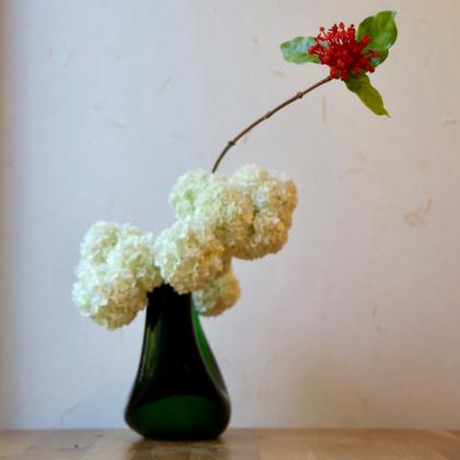 輸入アジサイ　切り花 生花】輸入アジサイ(濃淡おまかせグリーン系)モジート、抹茶など【OR