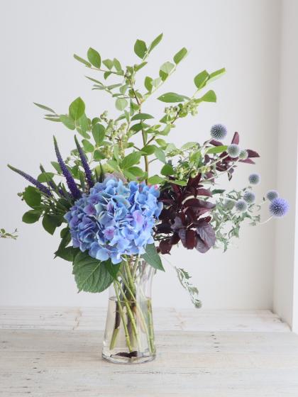 生花】鈴野農園アジサイ(ブルー～パープルP)クラシック系 Mクリスタル