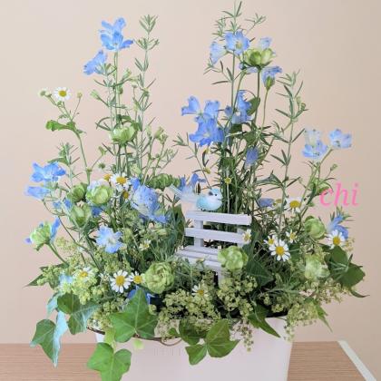 生花】オーストラリアンローズマリー フルティコ―サ 50cm～ F.U.Kagawa