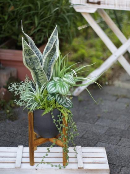 即日☆ネルソル1L 固まる土/GI000080 - 花材通販はなどんやアソシエ