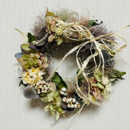 生花】スモークツリーホワイトファー M60cm程度 星野さん【IT-29