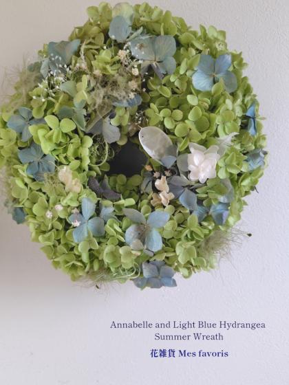 生花】カスミ草 2Lサイズ(ペールスターなど)【OT】 - 花材通販はなどん