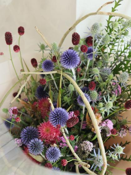 生花】ルリタマアザミ ベッチーズブルー(2-3輪つき)今週のおトク!【IT