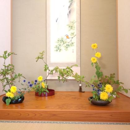 生花】夏ハゼ 80cm程度【OT】 - 花材通販はなどんやアソシエ