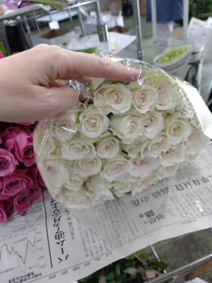 生花】バラ グランオマージュ(オフホワイト系)□今週のオトク【IT-23