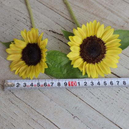 ヒマワリ ヒマワリ x 3（*）（商品詳細）| 株式会社ドガ