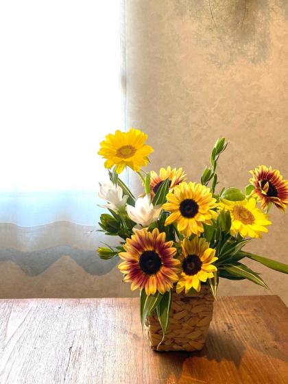 直前!!】プチヒマワリ ビンセントクリアレモン 小輪※芯グリーン【生花