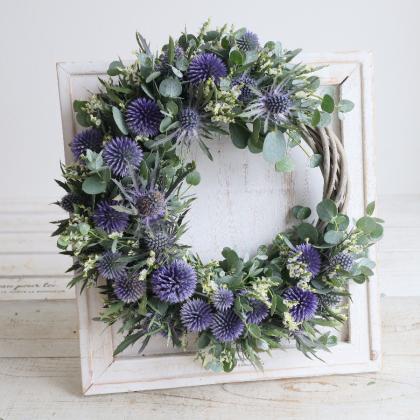 生花】ルリタマアザミ ベッチーズブルー(2-3輪つき)今週のおトク!【IT