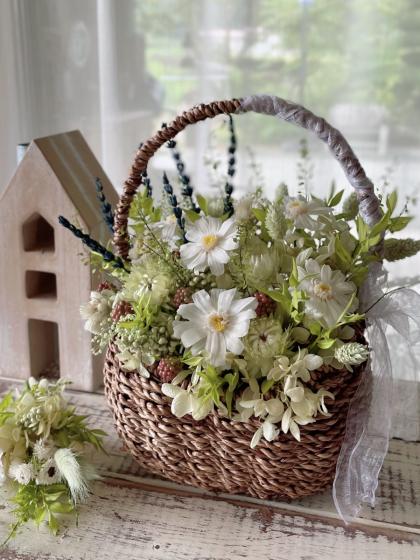 花 ドライ】コアトレーディング/エバーラスティングスニージーズ