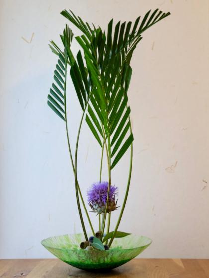 即日☆【ドライ】J・flow/実ものユーカリ ベルガムナッツナチュラル(束