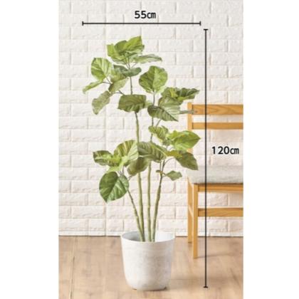直送】【人工観葉植物】MAGIQ東京堂/ウンベラータ 4F /FG005228※返品代