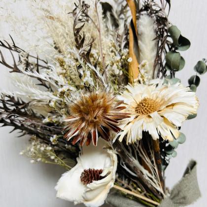 生花】グレビレア ゴールド(バイレヤナ) 40-50cm程度 イスラエル産