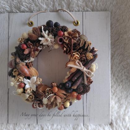 即日☆【ドライ】コアトレーディング/ワラッチポッド 80g/約60コ