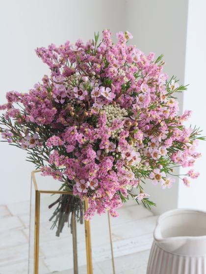 直前】【生花】エリカ(ピンク系)エリカベラ、フォーシスターズなど