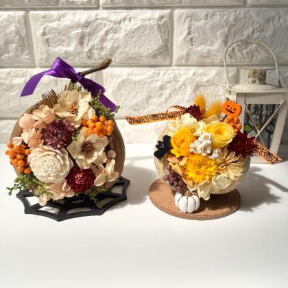 即日☆【ドライ】大地農園/ブッダナッツ 2個 ナチュラルベージュ