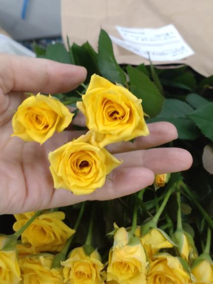 No.14♡黄色小花のふかふか花びらスタイ♡ ピンク・黄色の花束 3,000円 – 花・花束の通販サイト｜HanaTaku